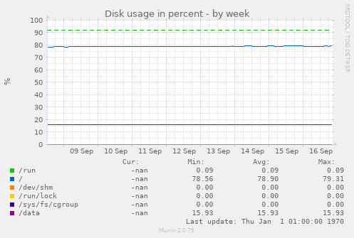 Disk usage in percent